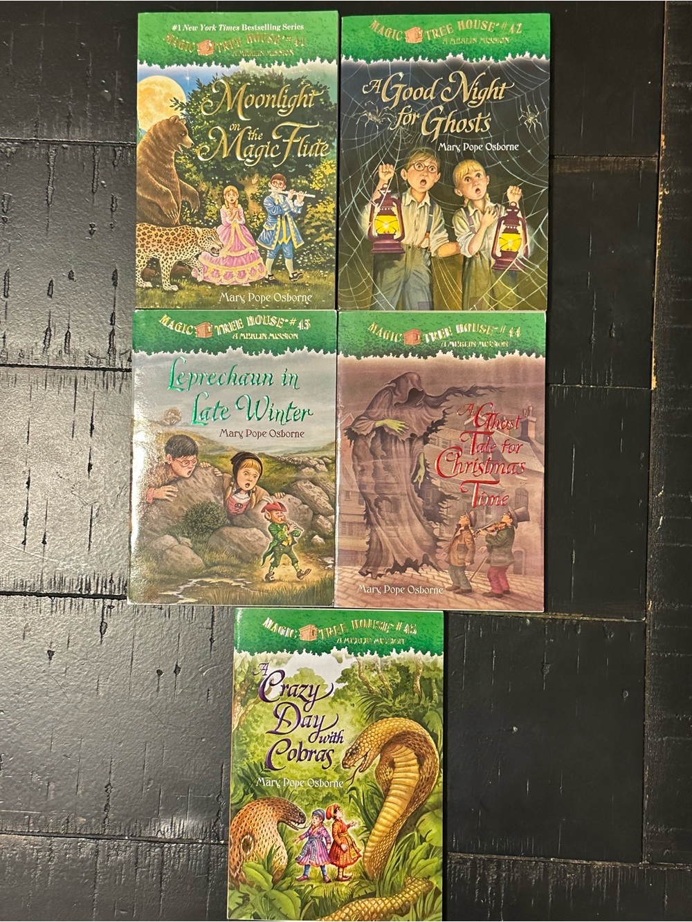 BUNDLE & SAVE! Magic Tree House Merlin Missions Paperbacks 5-Book Lot- (41-45)
